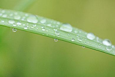 《铁拳8》Steam商店页面上线 确定支持中文